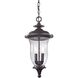 Trinity 2 Light 9 inch Oil Rubbed Bronze Outdoor Pendant, Medium