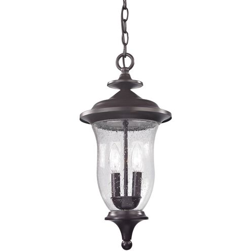 Trinity 2 Light 9 inch Oil Rubbed Bronze Outdoor Pendant, Medium