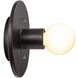 Ambiance Collection 1 Light Carbon Matte Black Wall Sconce Wall Light