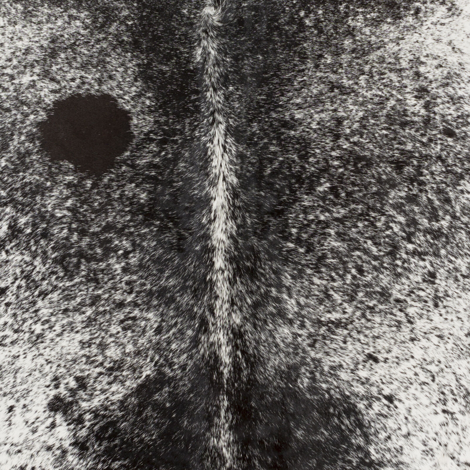 Easton 96 X 96 inch Black Rug, Square