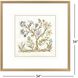 Botanica 22083 Multi and Blue and Green and Yellow Framed Art, The Studio