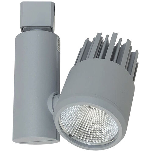 Aiden Silver Track Head Ceiling Light
