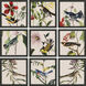 Animals Multi and Green and Yellow and Red Framed Art