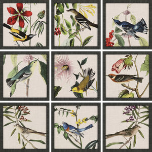 Animals Multi and Green and Yellow and Red Framed Art
