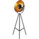 Gothard 65 inch 60.00 watt Black Floor Lamp Portable Light