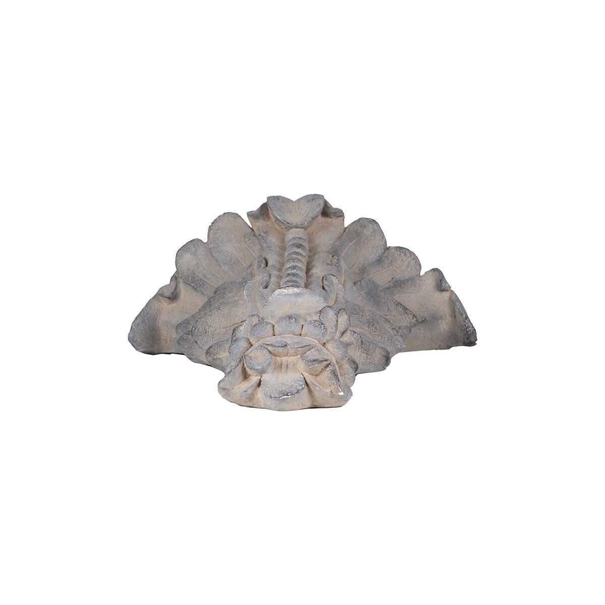 Greek Style Vining Plant Gray Outdoor Wall Planter