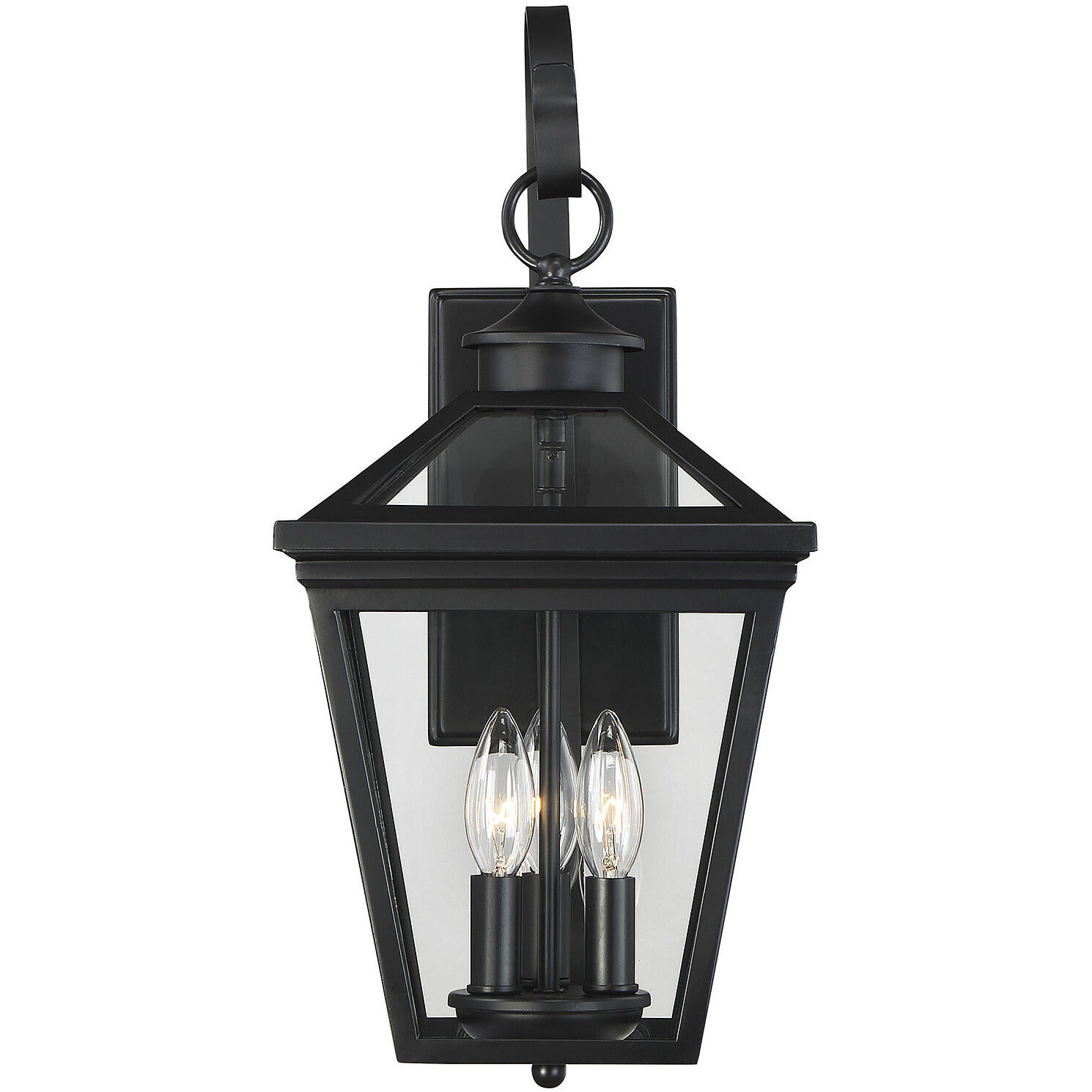 Ellijay Outdoor Wall Lantern in Black