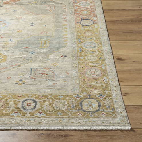 Anatolia 36 X 24 inch Light Olive / Gray / Burgundy / Camel / Olive Handmade Rug in 2 x 3