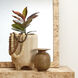 Highland 7.75 X 5.75 inch Decorative Vase in Burnt Umber Ceramic