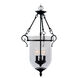 Legacy 3 Light 15 inch Bronze Chain Lantern