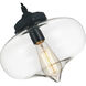 Glass 1 Light 11 inch Black Down Mini Pendant Ceiling Light