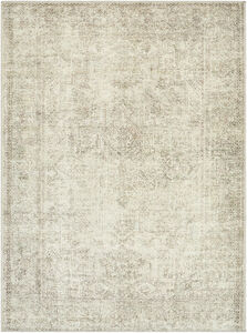 Margot 84 X 63 inch Area Rug in 5 x 8, Rectangle
