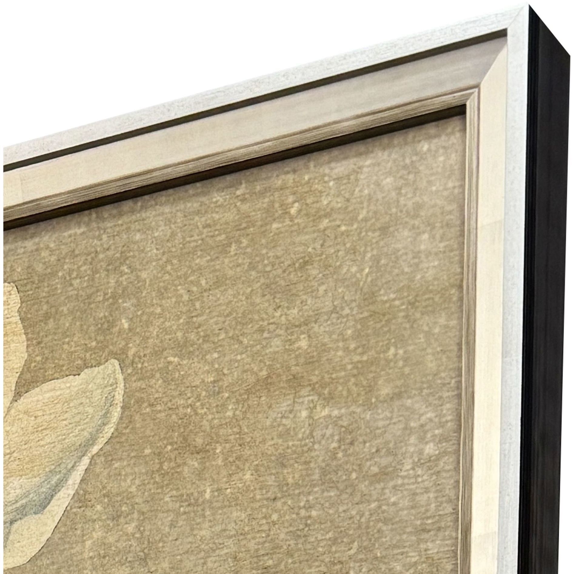 Anemones Green and Beige and White Framed Art, The Studio