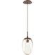 Meteo LED LED 10 inch Burnished Bronze Pendant Ceiling Light in 3000K LED, Floret Inner - Amber Outer