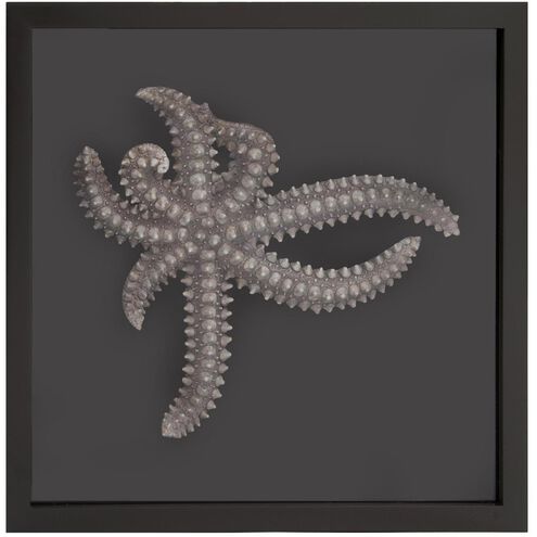 Star Fish Black/Silver Framed Art