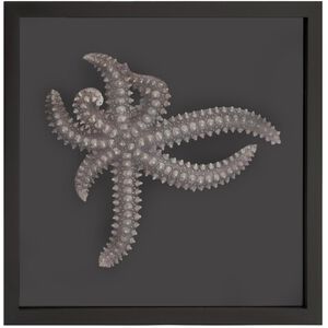 Star Fish Black/Silver Framed Art