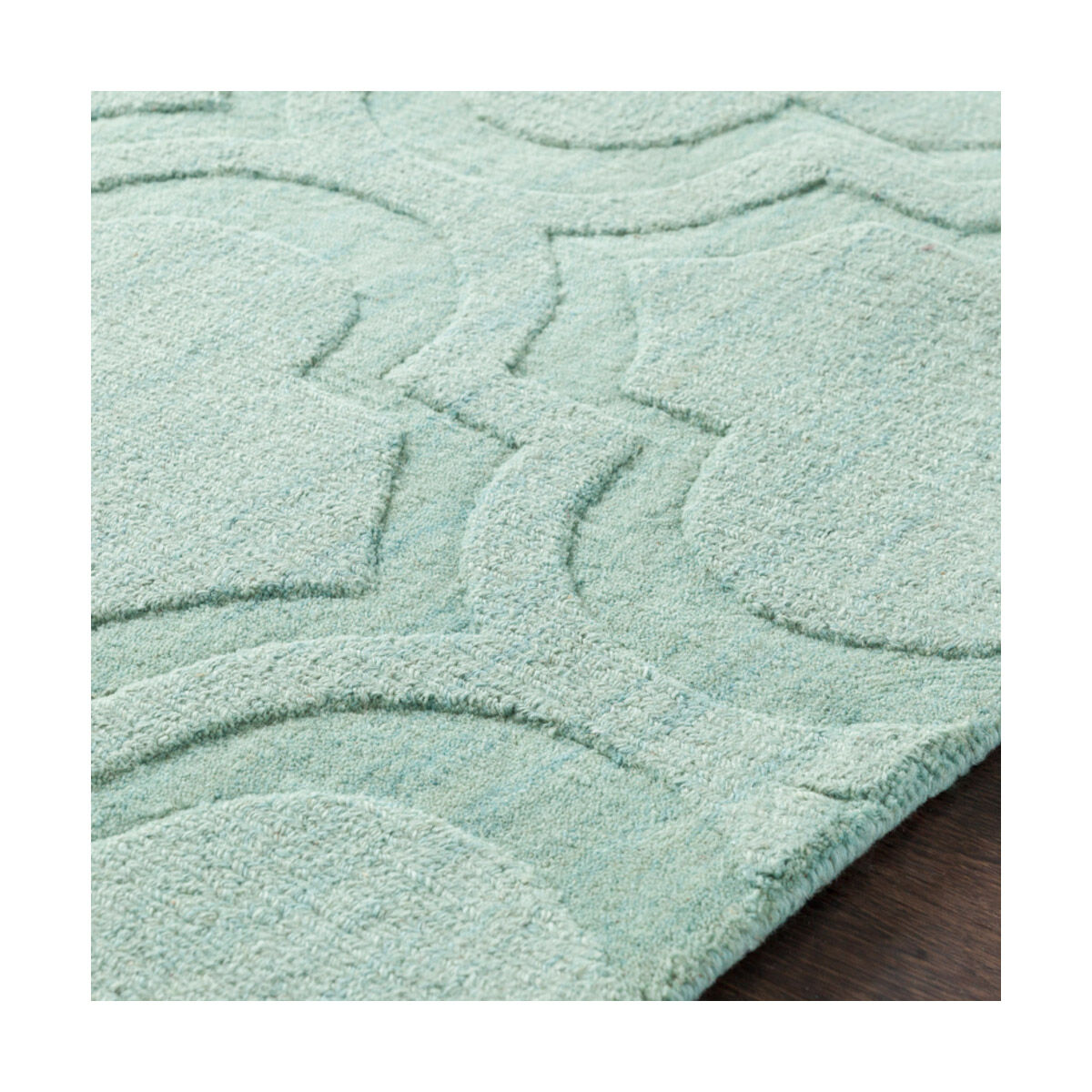 Central Park 120 X 27 inch Mint Indoor Runner, Runner