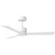 Rozzen 44 inch Matte White Indoor/Outdoor Ceiling Fan
