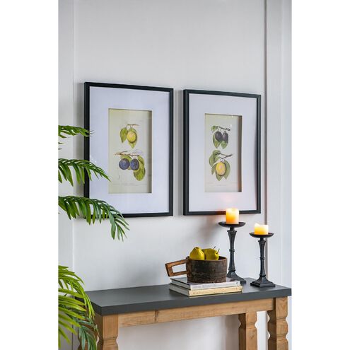 Smithsonian Black and Green/Yellow Wall Art, Assorted Fruit