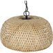 Hanoi 1 Light 18 inch Black Pendant Ceiling Light
