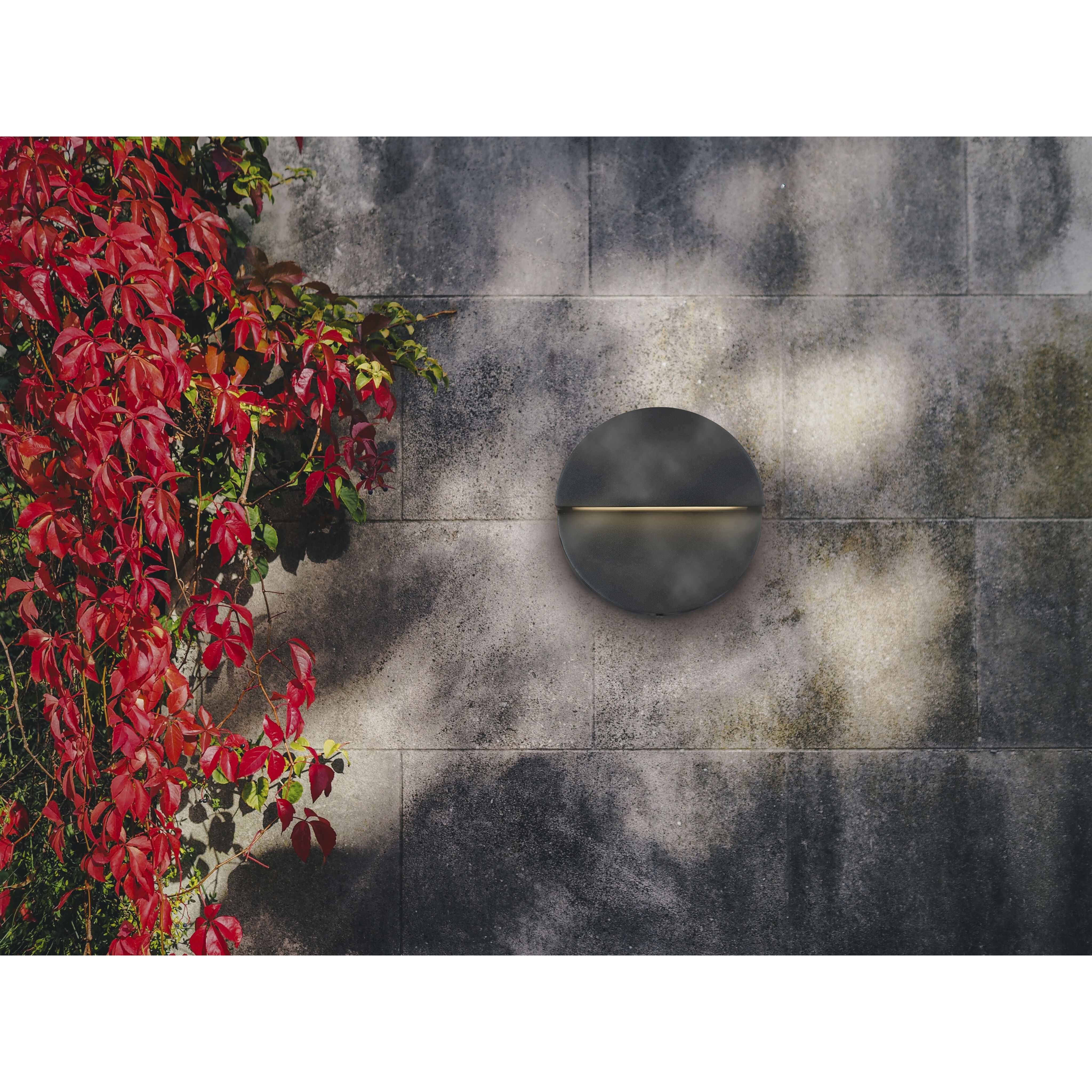 Mona Lisa LED Matte Black Outdoor Wall Light
