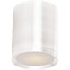 Lightray LED 5 inch White Outdoor Flush Mount