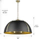 Aldrich Pendant Ceiling Light in Aged Brass, Matte Black
