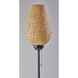 Hugo 68.25 inch 60 watt Black Floor Lamp Portable Light
