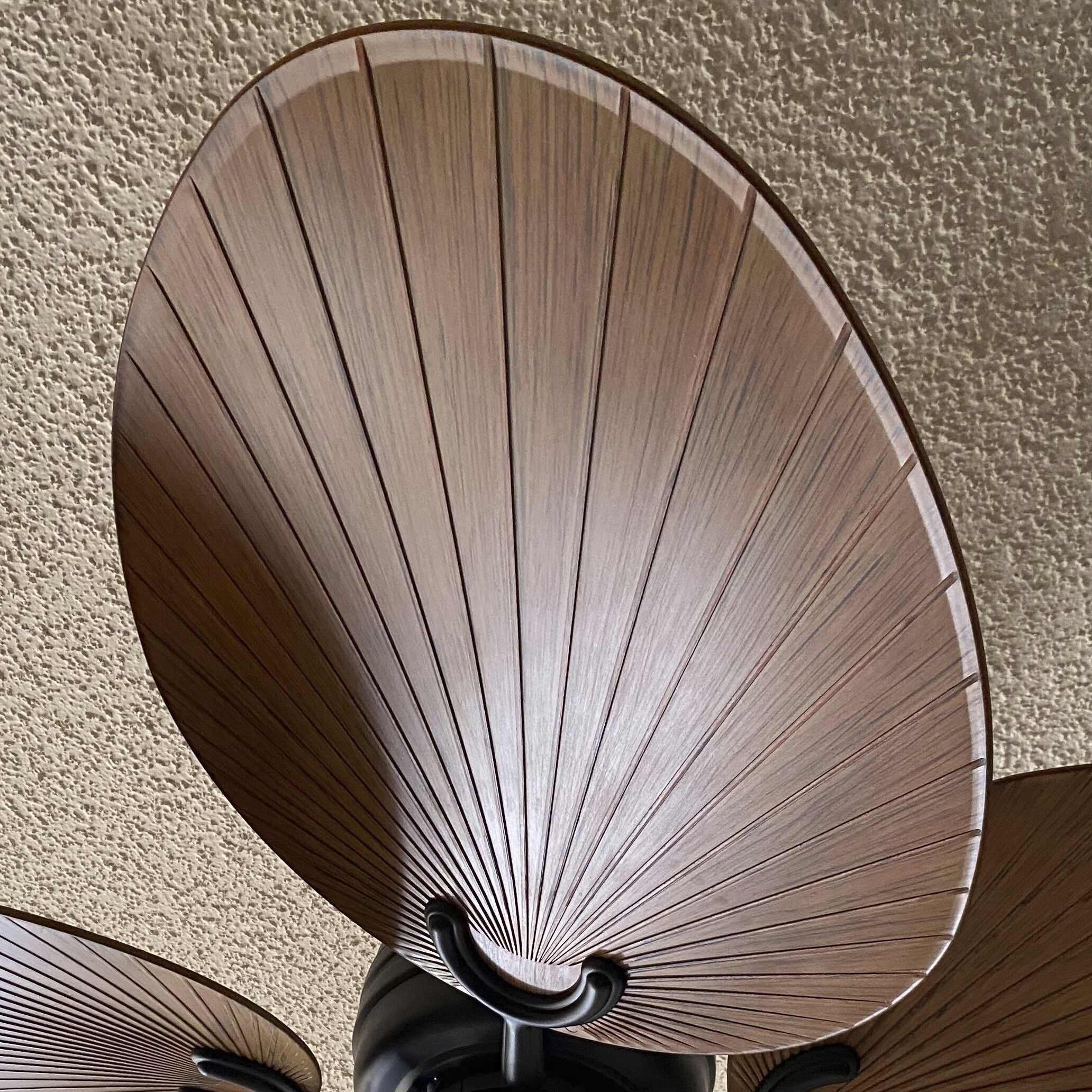 Tropic Air 52 inch Matte Black with KOA Blades Fan