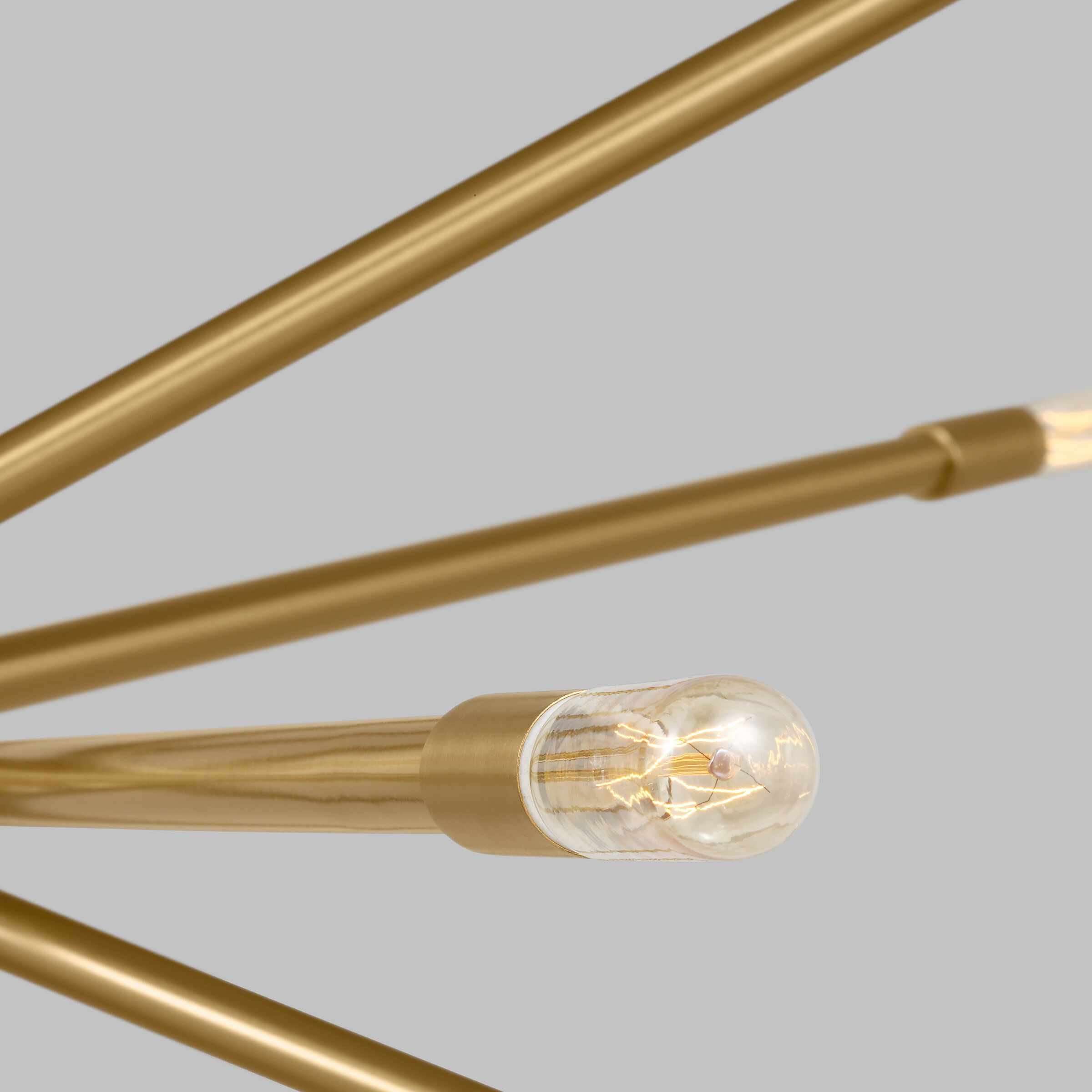 C&M by Chapman & Myers Eastyn 12 Light 36.88 inch Burnished Brass Chandelier Ceiling Light