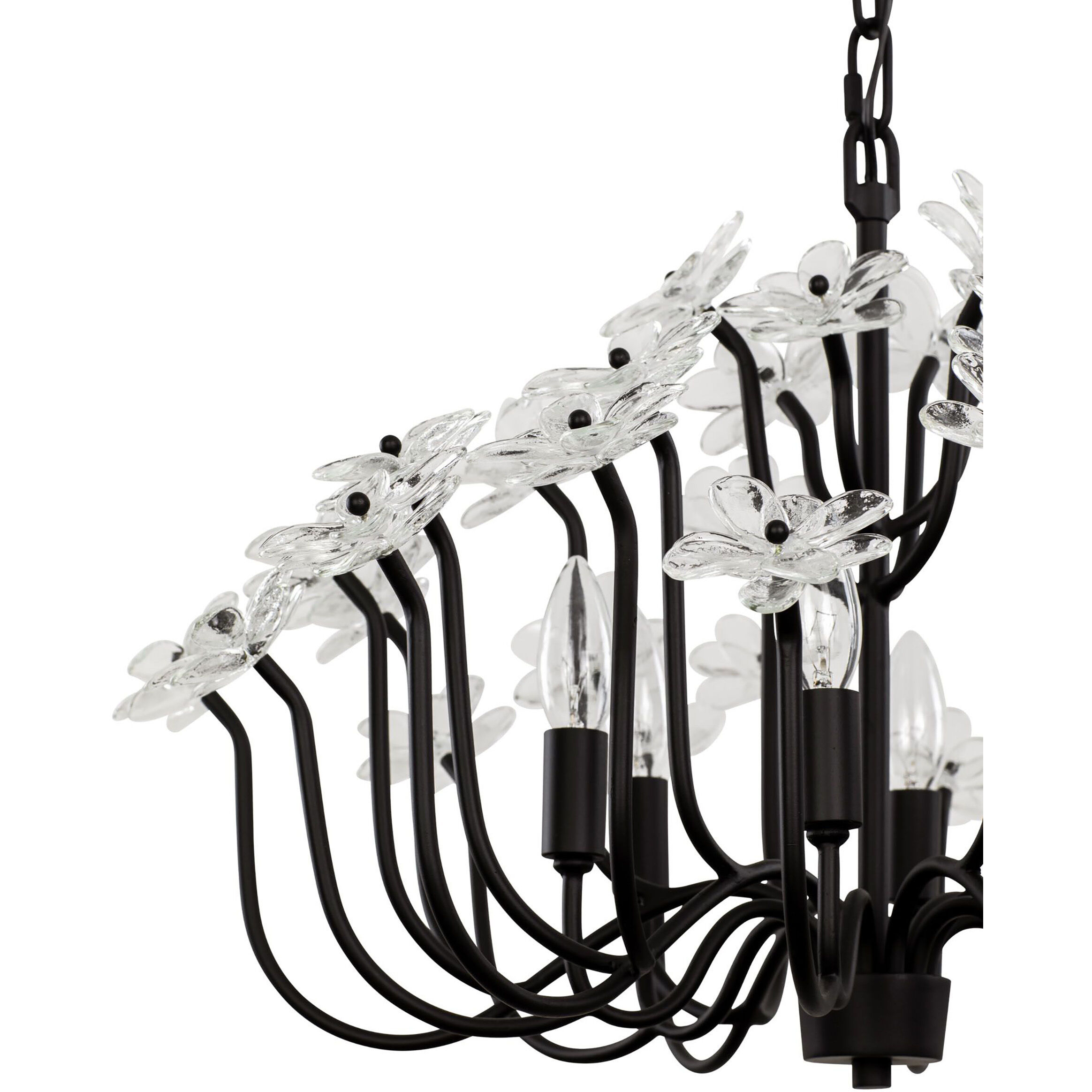 Wildflower 6 Light 26 inch Matte Black Chandelier Ceiling Light, Smithsonian Collaboration