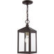 Nyack 1 Light 6.25 inch Bronze with Antique Brass Cluser Outdoor Pendant Lantern