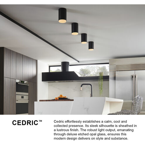 Cedric 1 Light 5.25 inch Black Indoor Foyer Flush Mount Ceiling Light