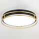 Northgate LED 16 inch Matte Black and Satin Gold Flush Mount Ceiling Light