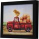 Animals Collection 11 X 9 inch Non-Glass Framed Art