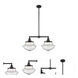 Franklin Restoration Large Oxford 2 Light 25 inch Matte Black Island Light Ceiling Light in Seedy Glass, Franklin Restoration