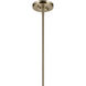 Laria 1 Light Champagne Bronze Pendant Ceiling Light in Clear