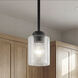 Winslow 1 Light 4 inch Black Mini Pendant Ceiling Light