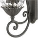 Plantation Outdoor Wall Mount Lantern in Museum Black