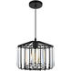 Alethia 1 Light 10 inch Black Drum Shade Pendant Ceiling Light