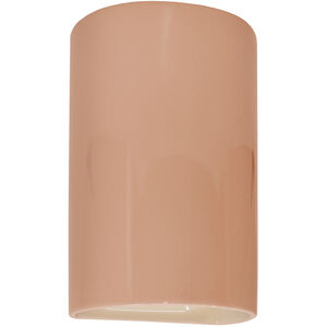 Ambiance LED 9.5 inch Gloss Blush Outdoor Wall Sconce