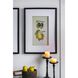 Smithsonian Black and Green/Yellow Wall Art, Assorted Fruit
