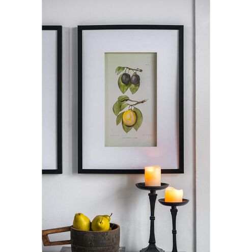 Smithsonian Black and Green/Yellow Wall Art, Assorted Fruit