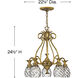 Plantation 5 Light 22.25 inch Burnished Brass Indoor Chandelier Ceiling Light