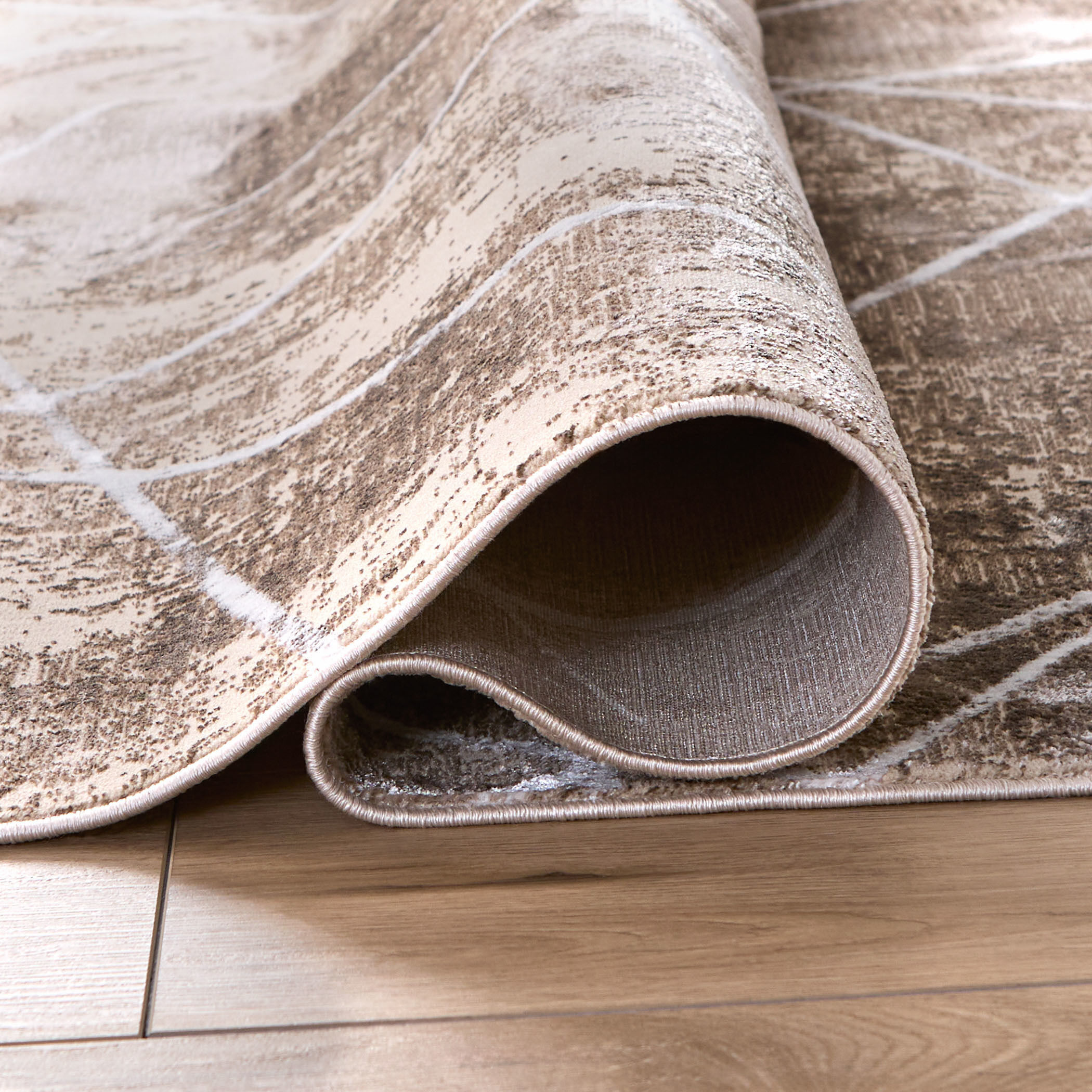 Rienz 36 X 24 inch Earth Tones Rug in 2 x 3