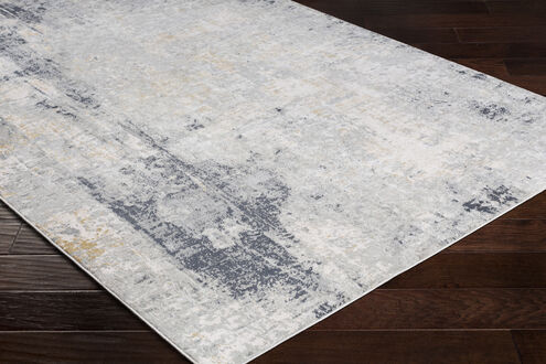Milano 60 X 31 inch Light Gray Rug in 3 x 5, Rectangle