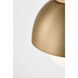 Drew & Jonathan Hyde 1 Light 8 inch Satin Brass Flush Mount Ceiling Light in LED, Medium