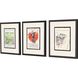 Vintage Collection Multi Framed Art
