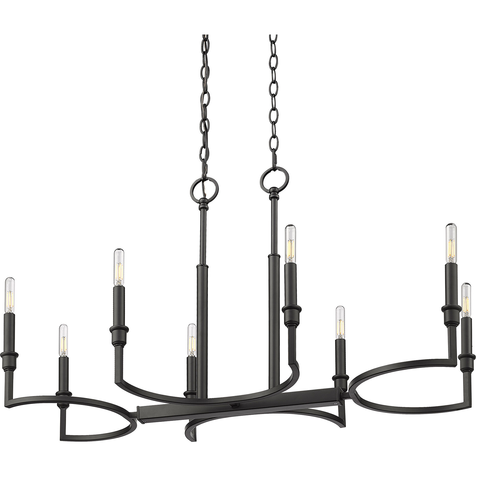 Ellyn Island Light Ceiling Light in Matte Black