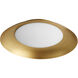 Bongo 1 Light 19.75 inch Flush Mount